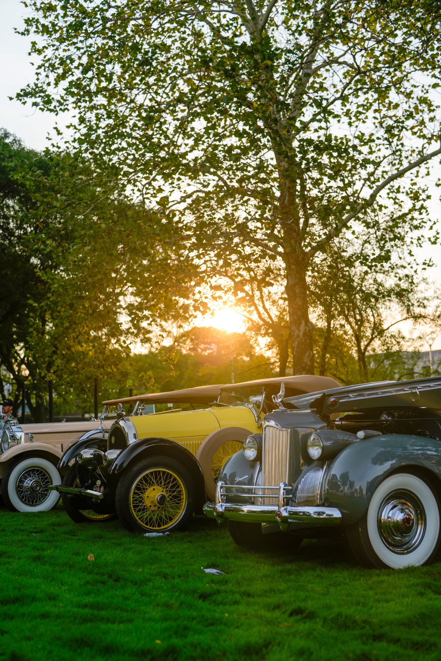 Concours d'Elegance Classes